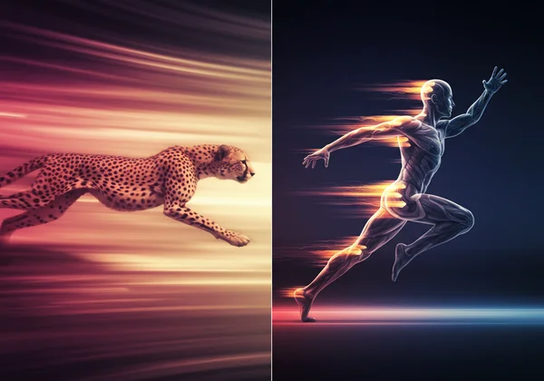 Abstract visual of speed, human vs animal reflexes